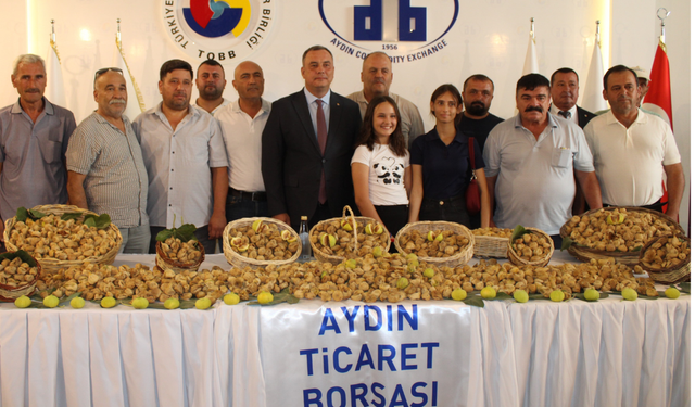 Aydın’da kuru incir sezonu 800 TL’den açıldı