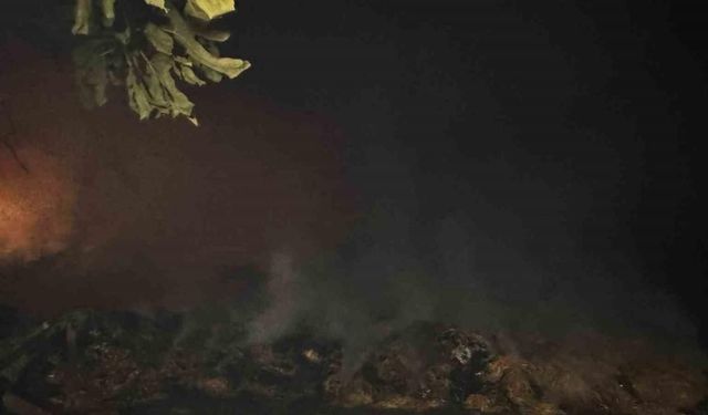 Alevlerin arasında kalan mahalle boşaltılıyor