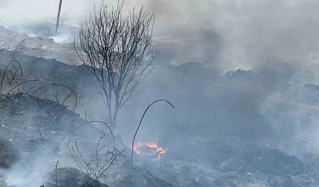Manyas Kuş Cenneti yakınında yangın paniği