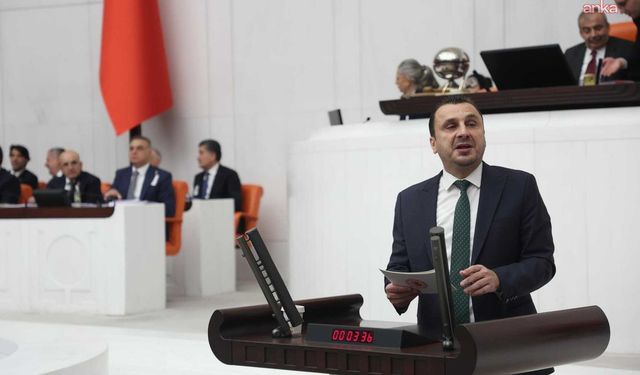 Başevirgen :'Yaşlılar artık huzurevi kuyruklarında'