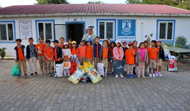 Bodrum Belediyesi sokak hayvanlarının yanında