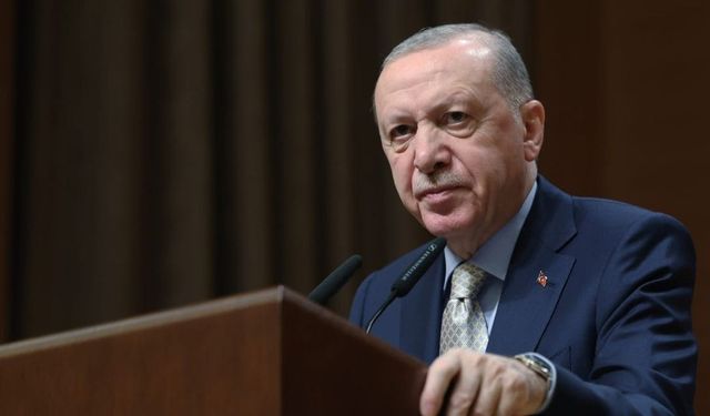 Erdoğan'dan 'nadir toprak elementleri' açıklaması