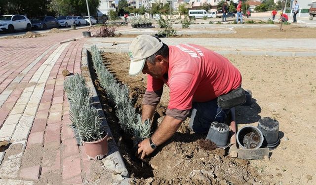 Pati Park'ta sona doğru yaklaşılıyor