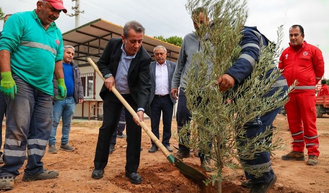 Başkan Yetişkin'den Efeler'e yeşil adım