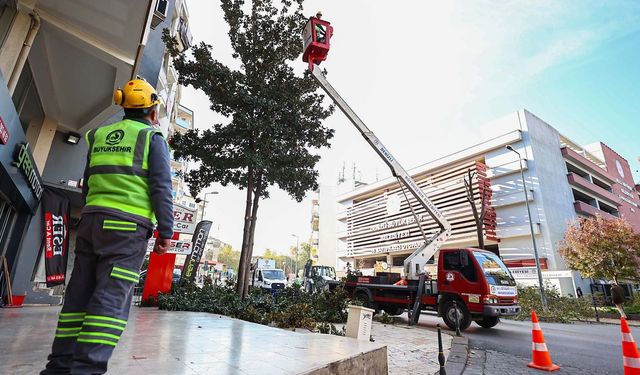Denizli Büyükşehir Belediyesi'nde budama çalışmaları