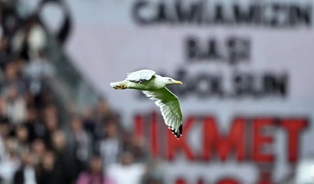 Dolmabahçe'de beklenmedik misafir