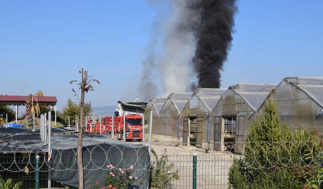 Manisa'da çıkan yangın kontrol altında