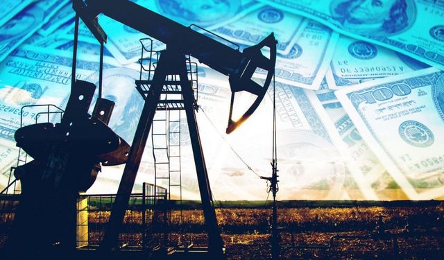 Tek petrol rafinerisi üretime ara verdi!