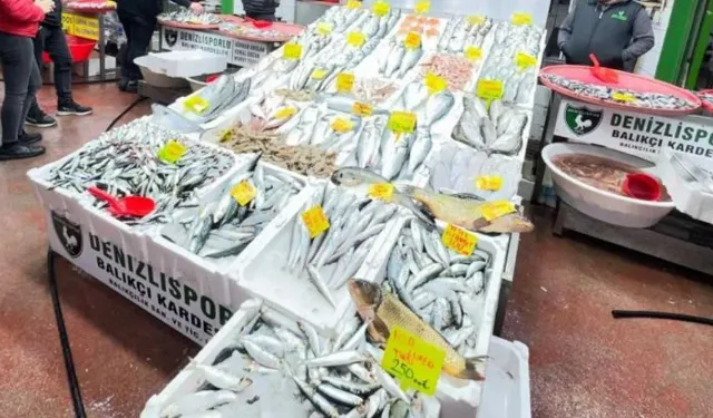 Balık sezonu geç başladı