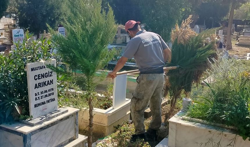 Efeler'in ekipleri mezarlıklarda