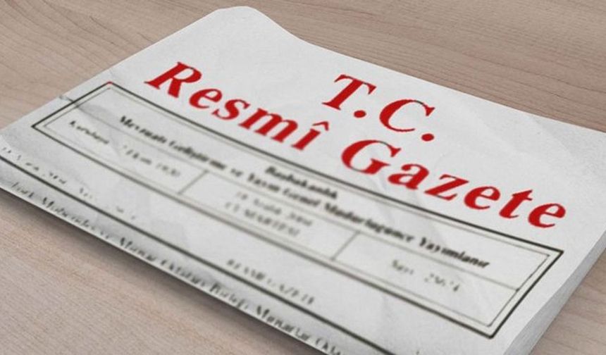 Kadına Yönelik Şiddetle Mücadele resmi gazetede