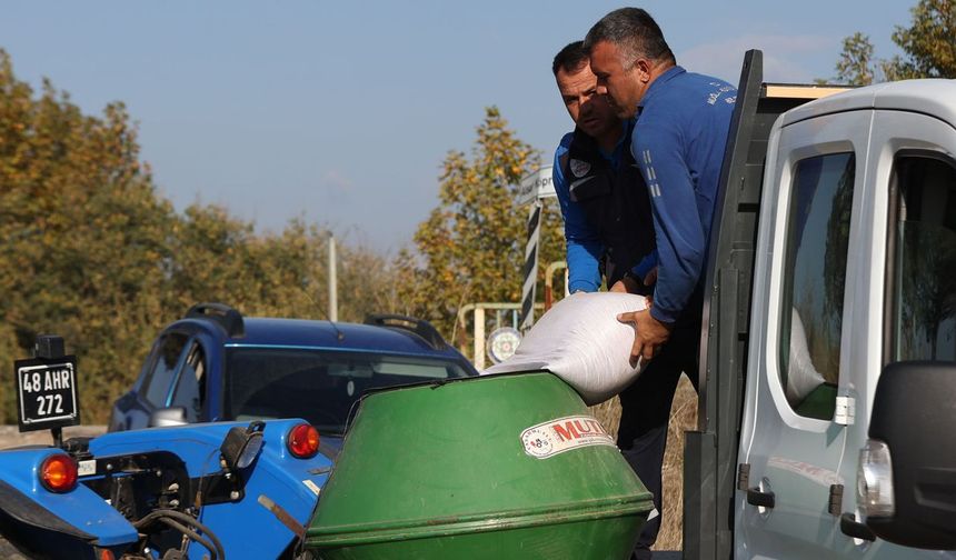 Muğla Büyükşehir, hayvancılığa güç katıyor